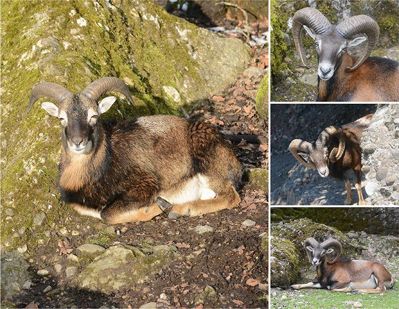 Fotografie Alfons Weber
