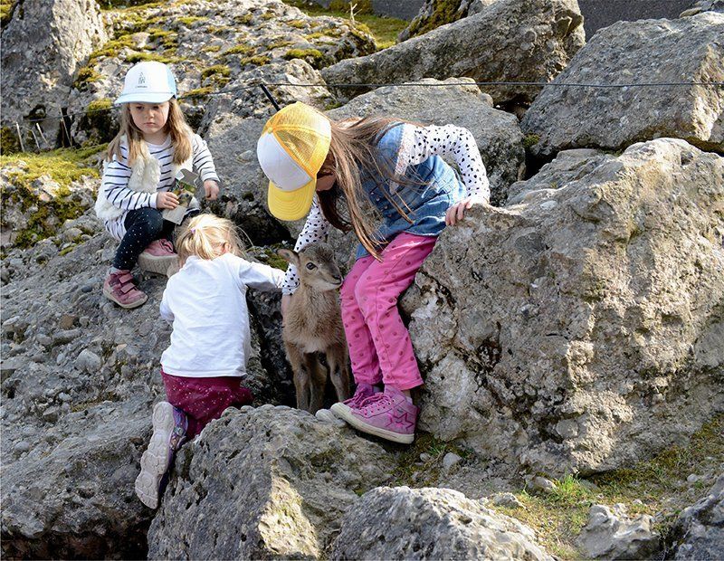 Fotografie Alfons Weber
