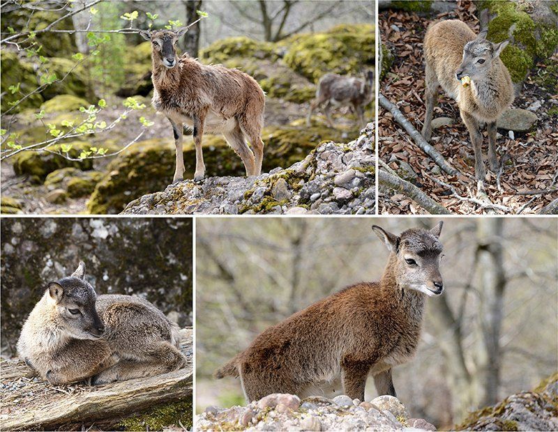 Fotografie Alfons Weber

