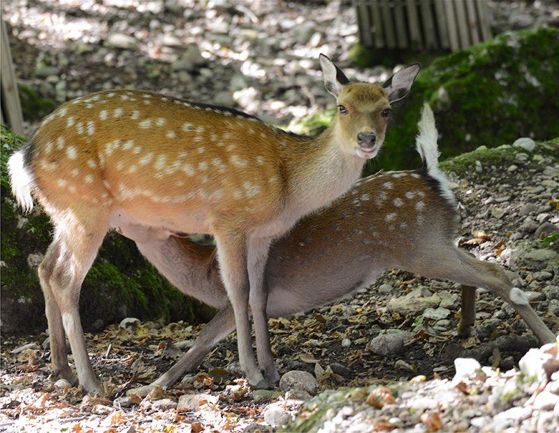 Fotografie Alfons Weber
