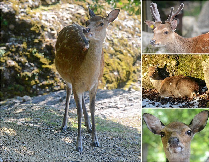 Fotografie Alfons Weber

