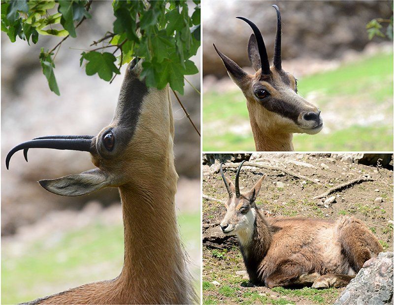 Fotografie Alfons Weber
