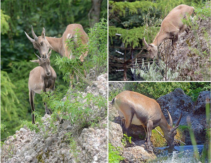 Fotografie Alfons Weber
