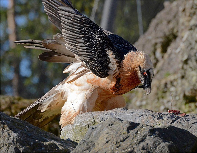 Fotografie Alfons Weber
