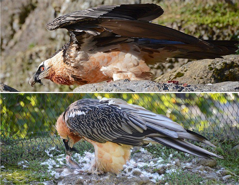 Fotografie Alfons Weber
