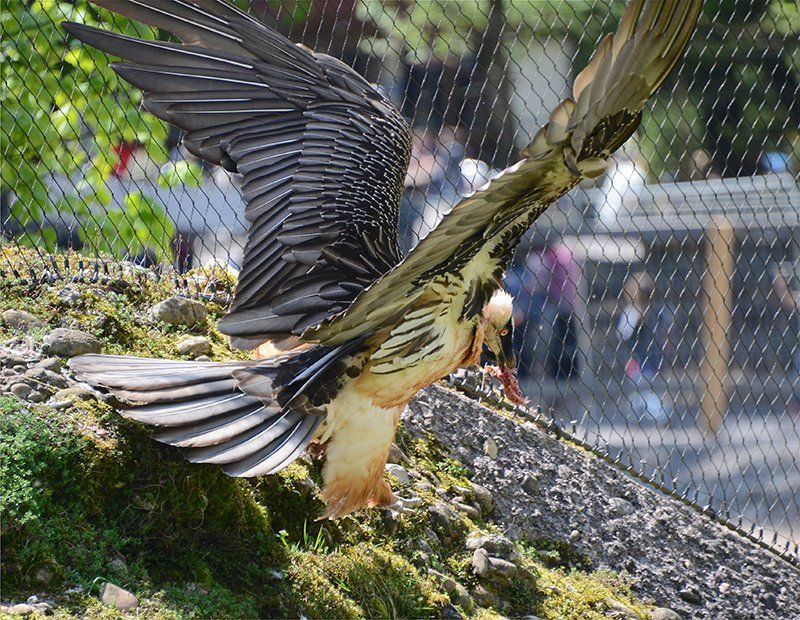 Fotografie Alfons Weber
