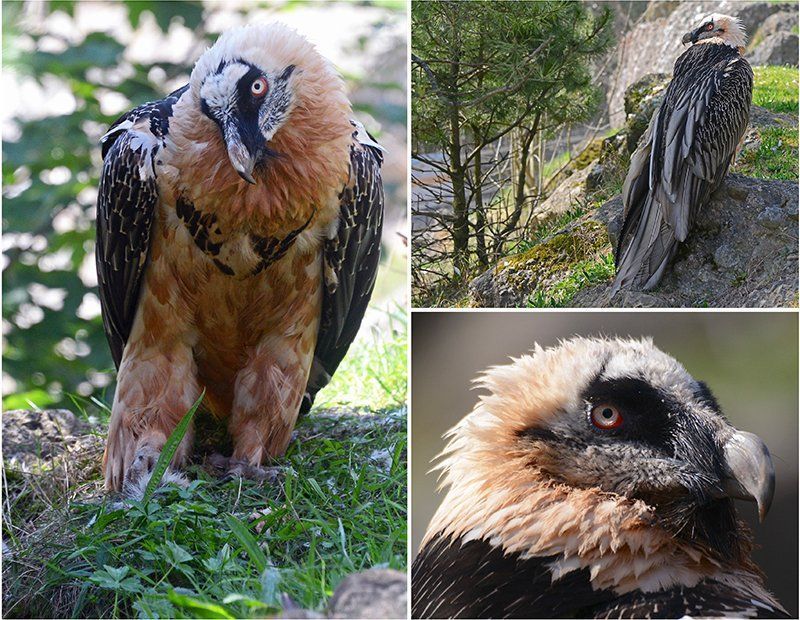 Fotografie Alfons Weber
