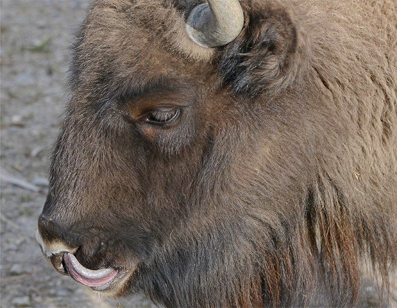 Fotografie Alfons Weber
