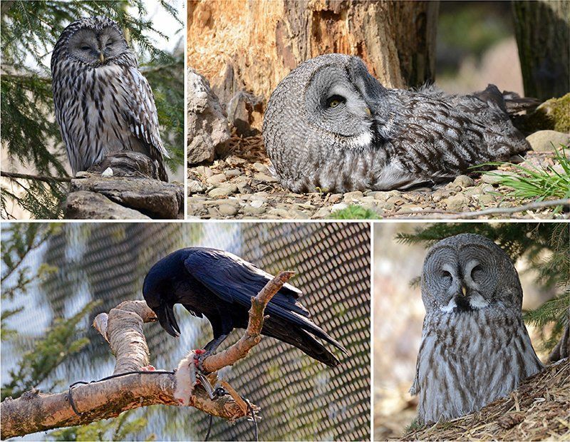 Fotografie Alfons Weber
