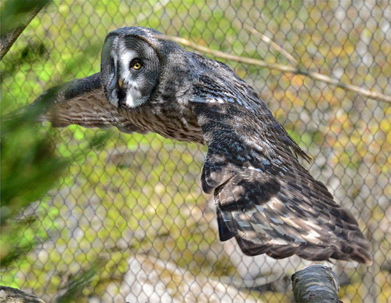 Fotografie Alfons Weber
