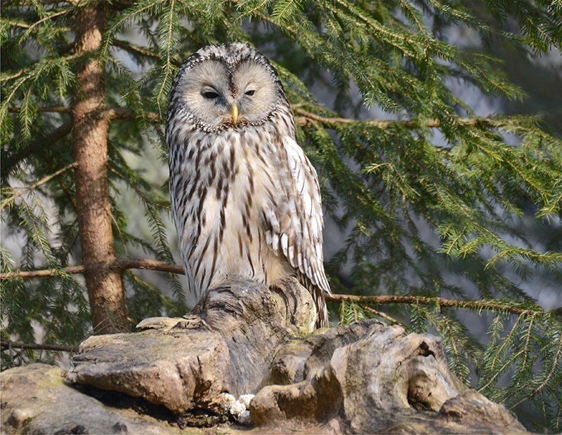 Fotografie Alfons Weber
