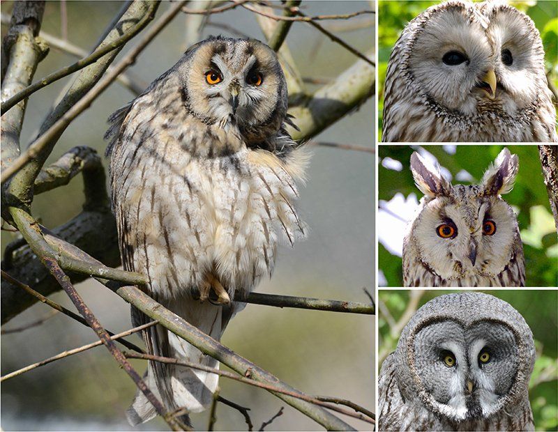 Fotografie Alfons Weber
