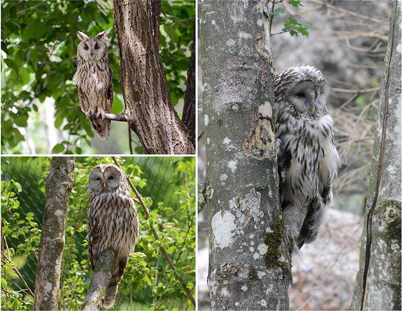 Fotografie Alfons Weber
