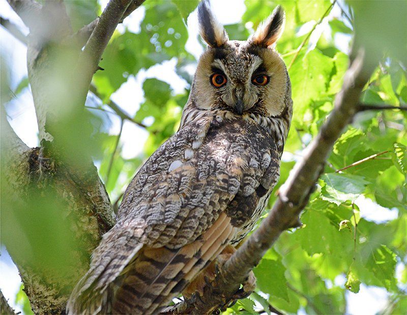 Fotografie Alfons Weber
