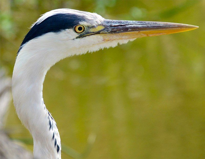 Fotografie Alfons Weber
