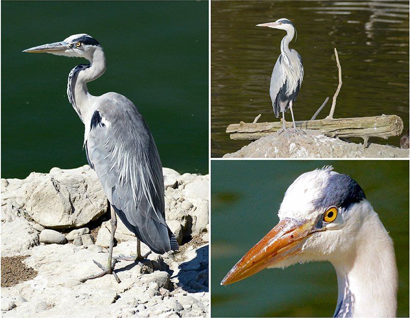 Fotografie Alfons Weber
