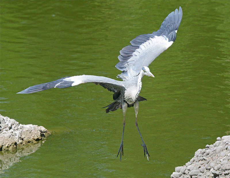 Fotografie Alfons Weber
