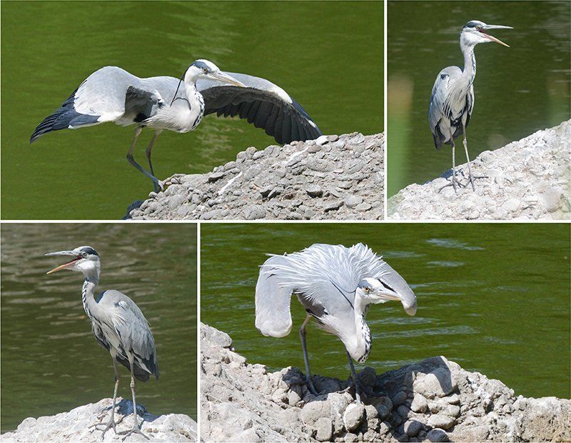 Fotografie Alfons Weber
