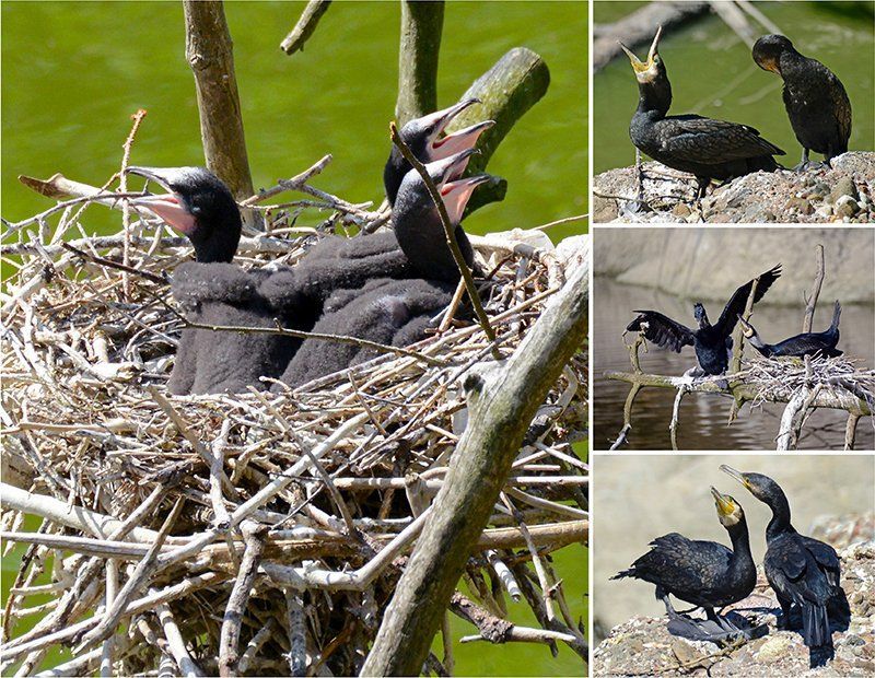 Fotografie Alfons Weber
