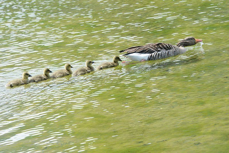 Fotografie Alfons Weber
