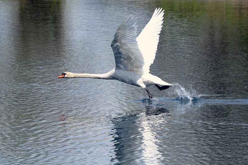 Fotografie Alfons Weber
