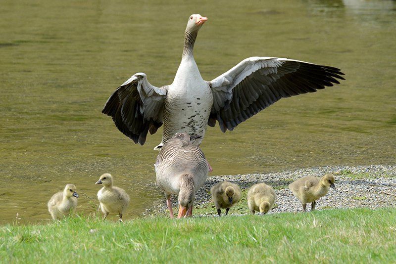 Fotografie Alfons Weber
