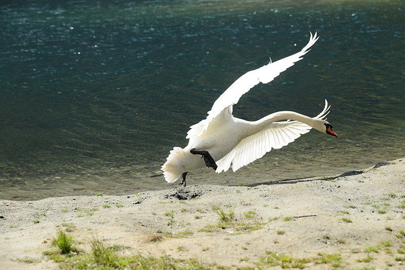 Fotografie Alfons Weber
