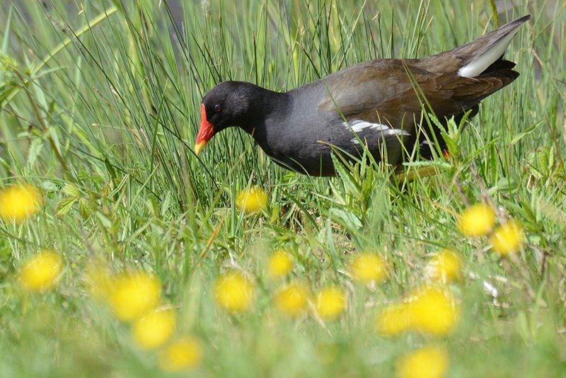 Fotografie Alfons Weber
