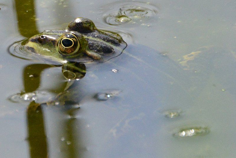 Fotografie Alfons Weber
