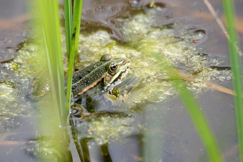 Fotografie Alfons Weber
