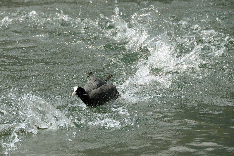 Fotografie Alfons Weber
