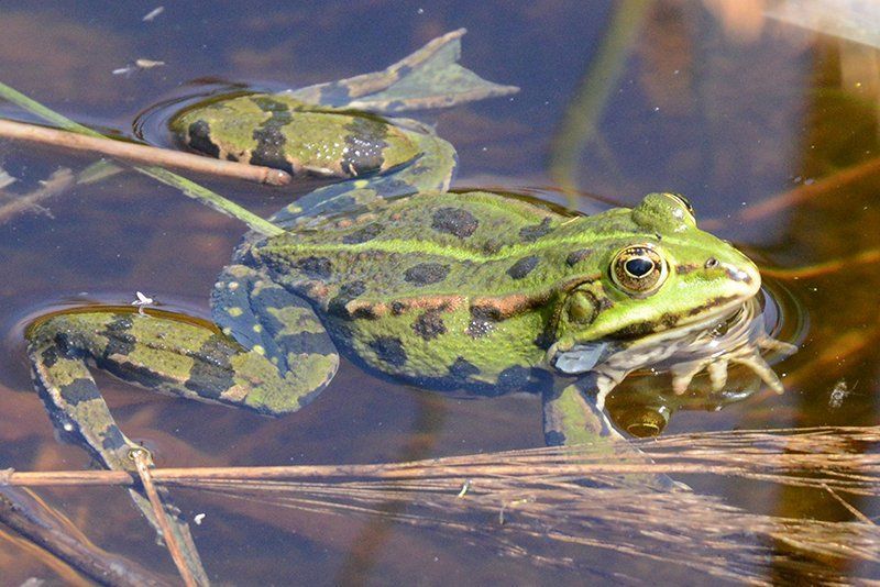 Fotografie Alfons Weber
