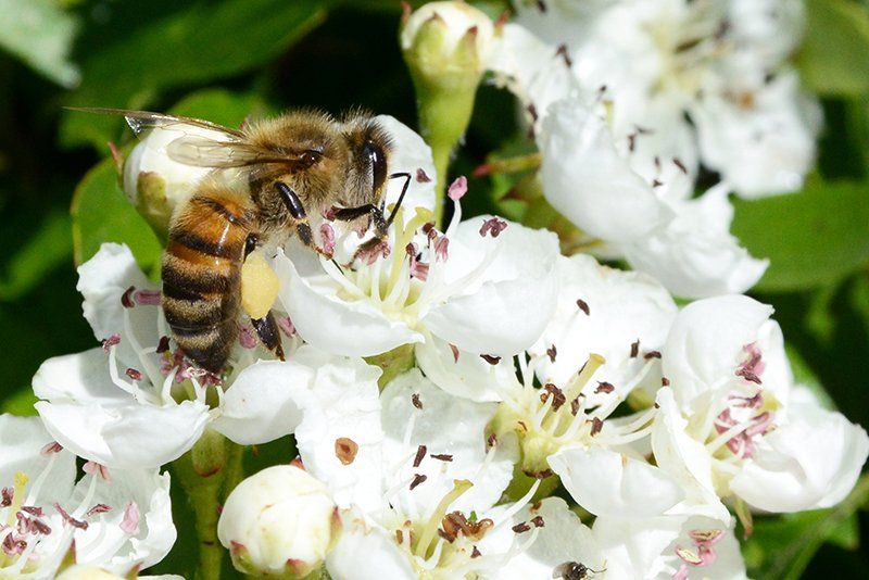 Fotografie Alfons Weber
