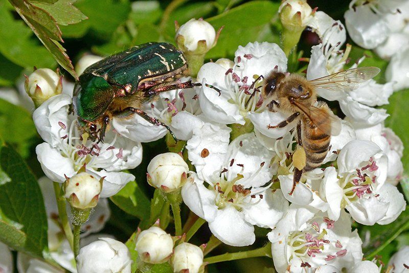 Fotografie Alfons Weber
