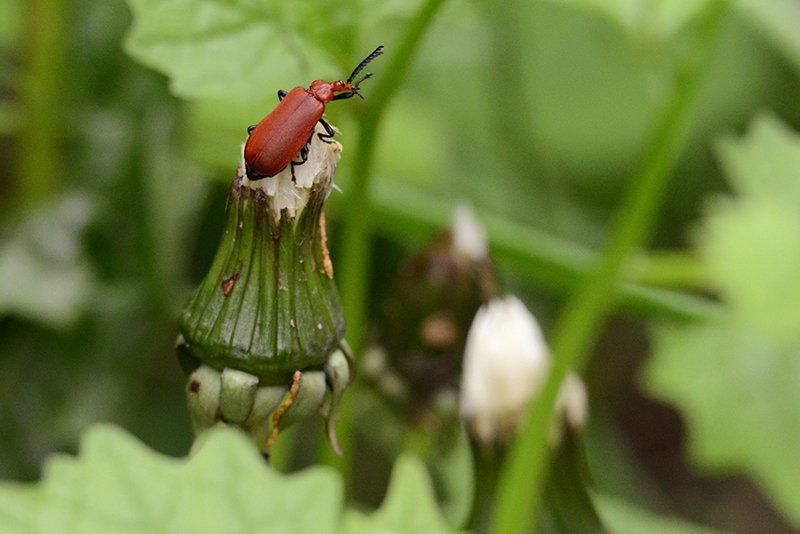 Fotografie Alfons Weber
