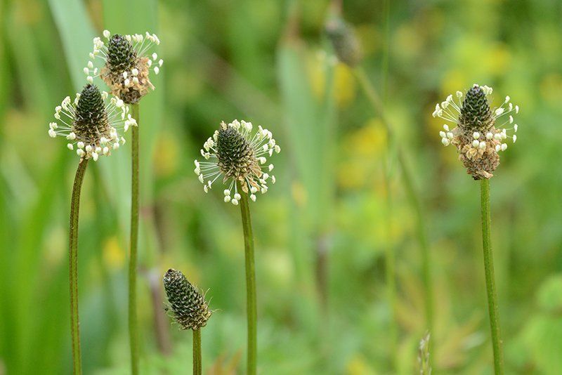 Fotografie Alfons Weber
