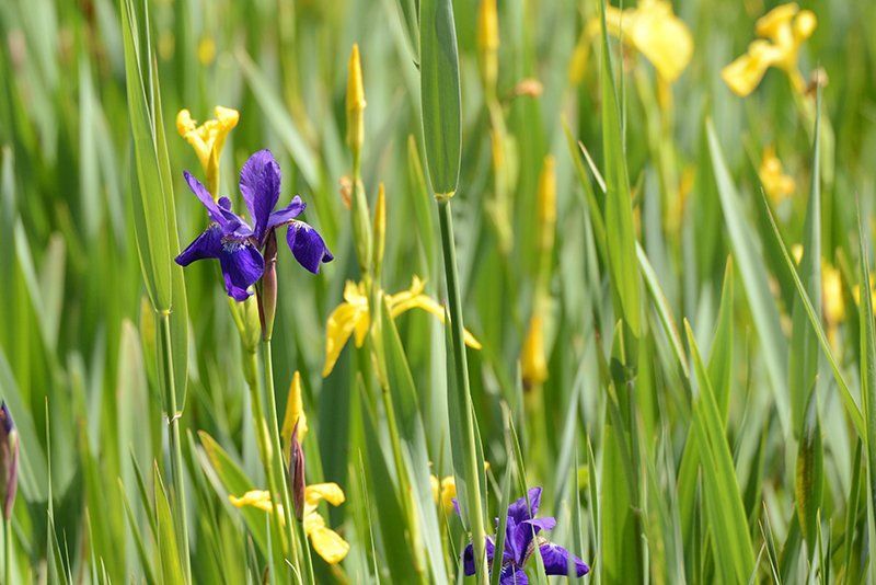 Fotografie Alfons Weber
