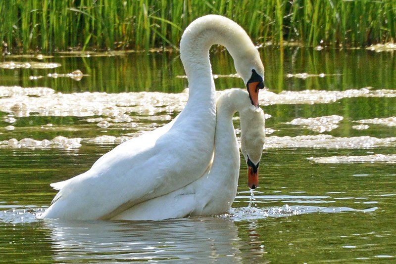 Fotografie Alfons Weber
