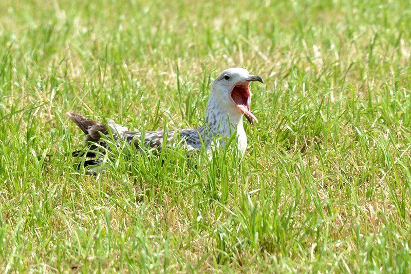Fotografie Alfons Weber
