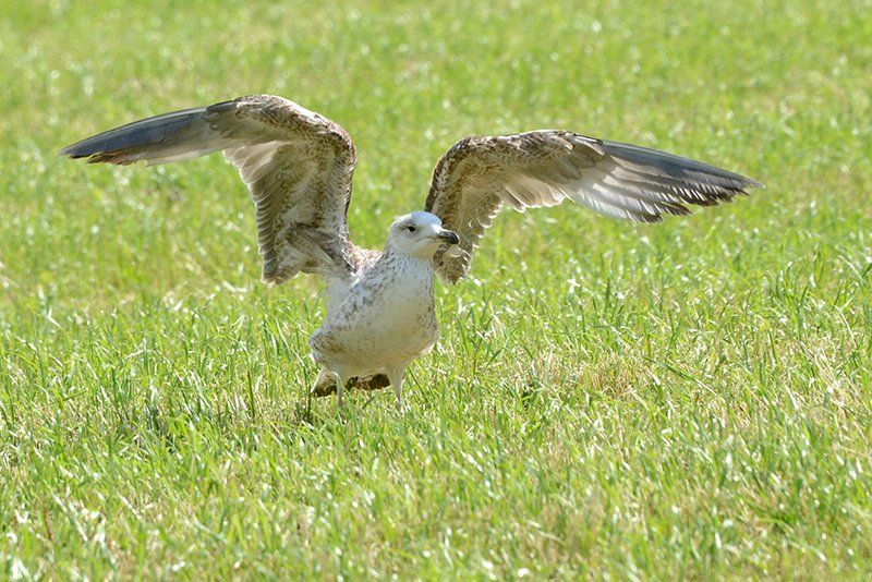 Fotografie Alfons Weber
