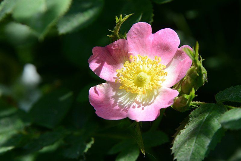 Fotografie Alfons Weber
