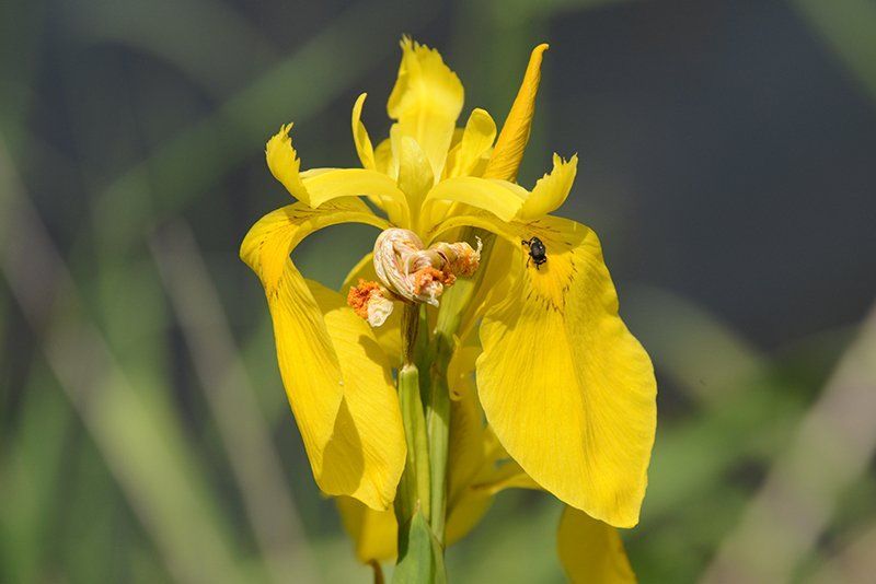 Fotografie Alfons Weber
