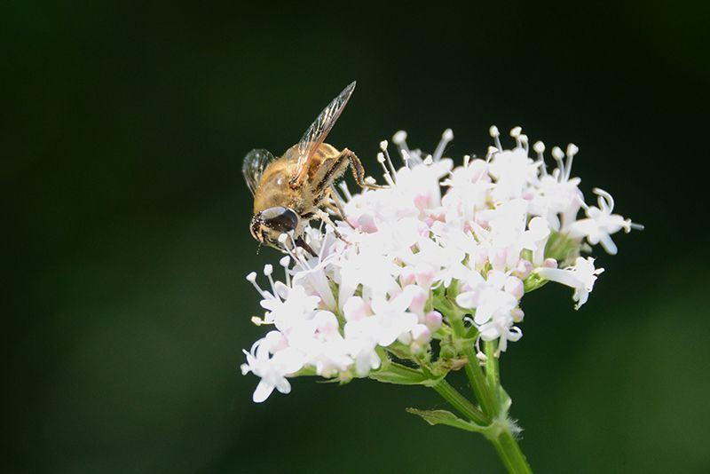 Fotografie Alfons Weber
