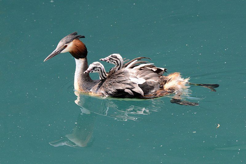 Fotografie Alfons Weber
