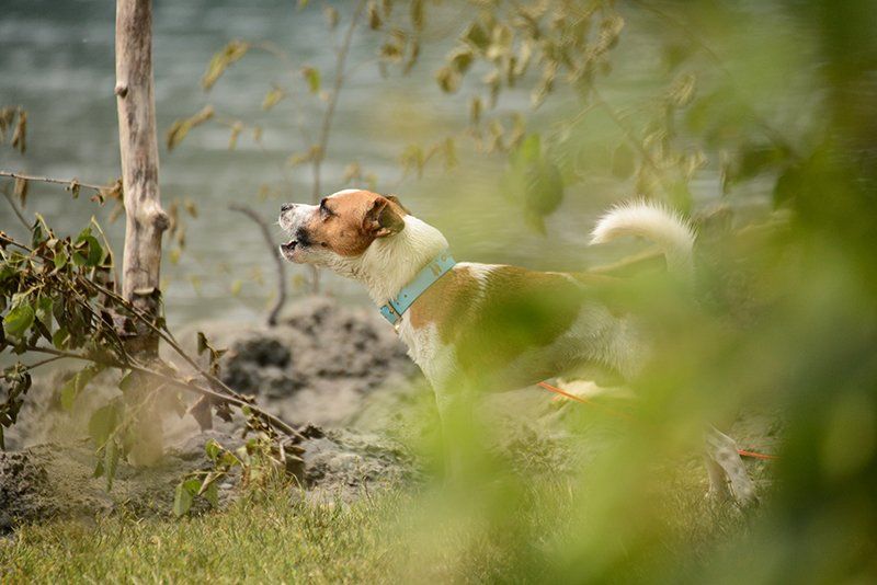 Fotografie Alfons Weber
