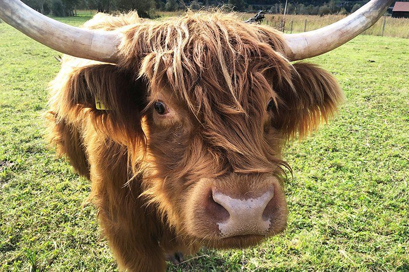 Fotografie Alfons Weber
