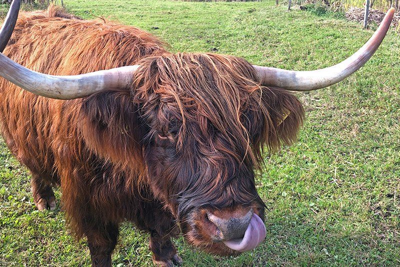 Fotografie Alfons Weber
