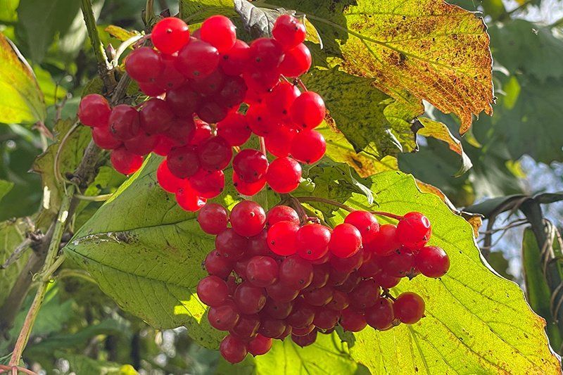 Fotografie Alfons Weber
