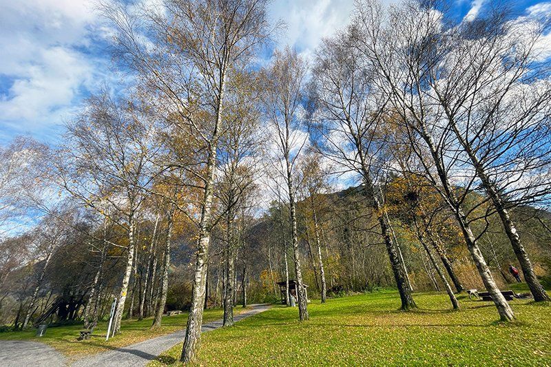 Fotografie Alfons Weber
