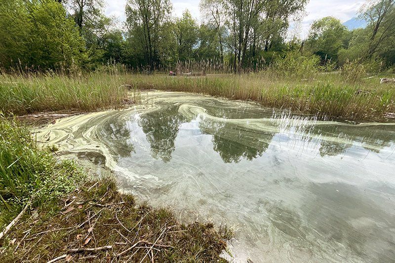 Fotografie Alfons Weber
